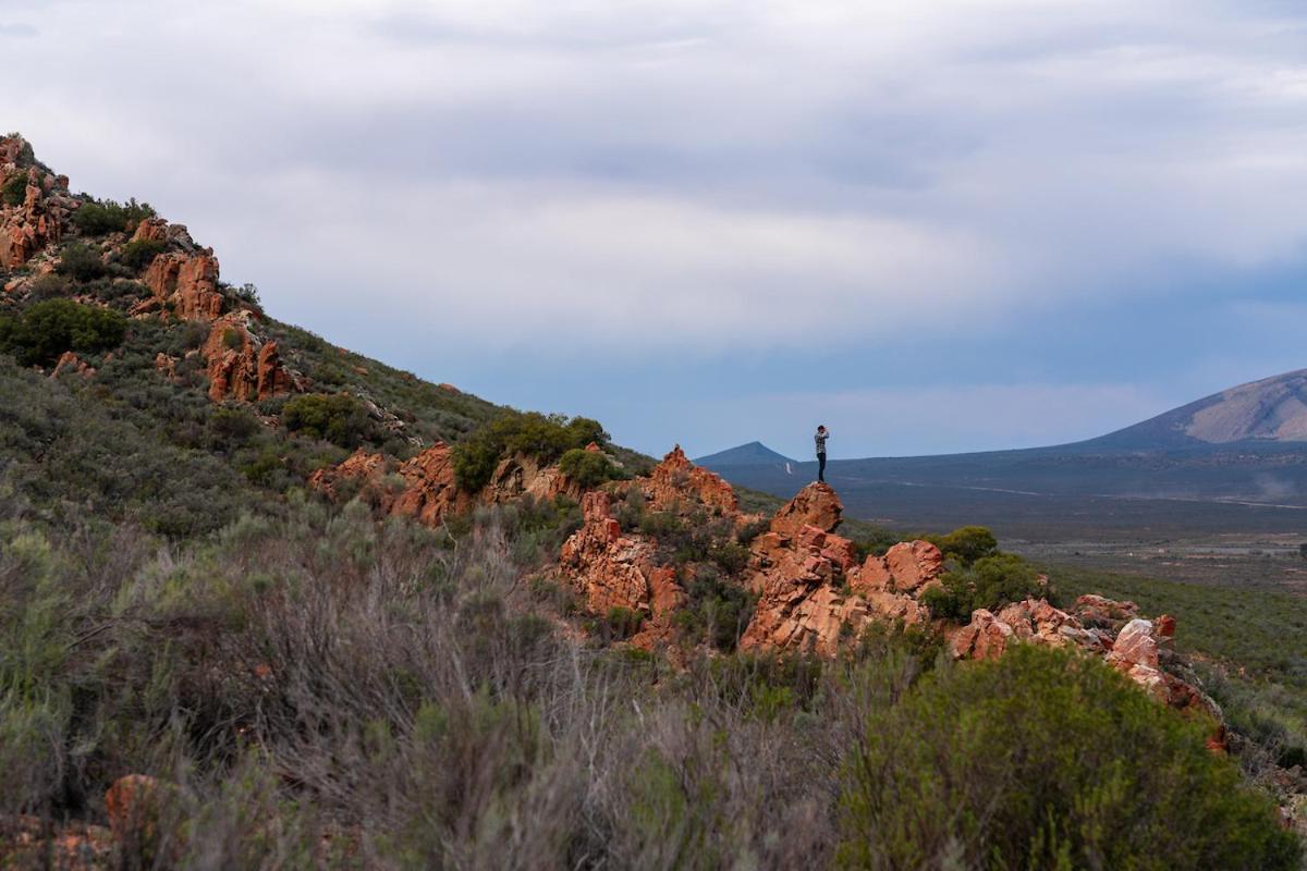 Вілла Gecko Rock Private Nature Reserve Goedgemoed Екстер'єр фото